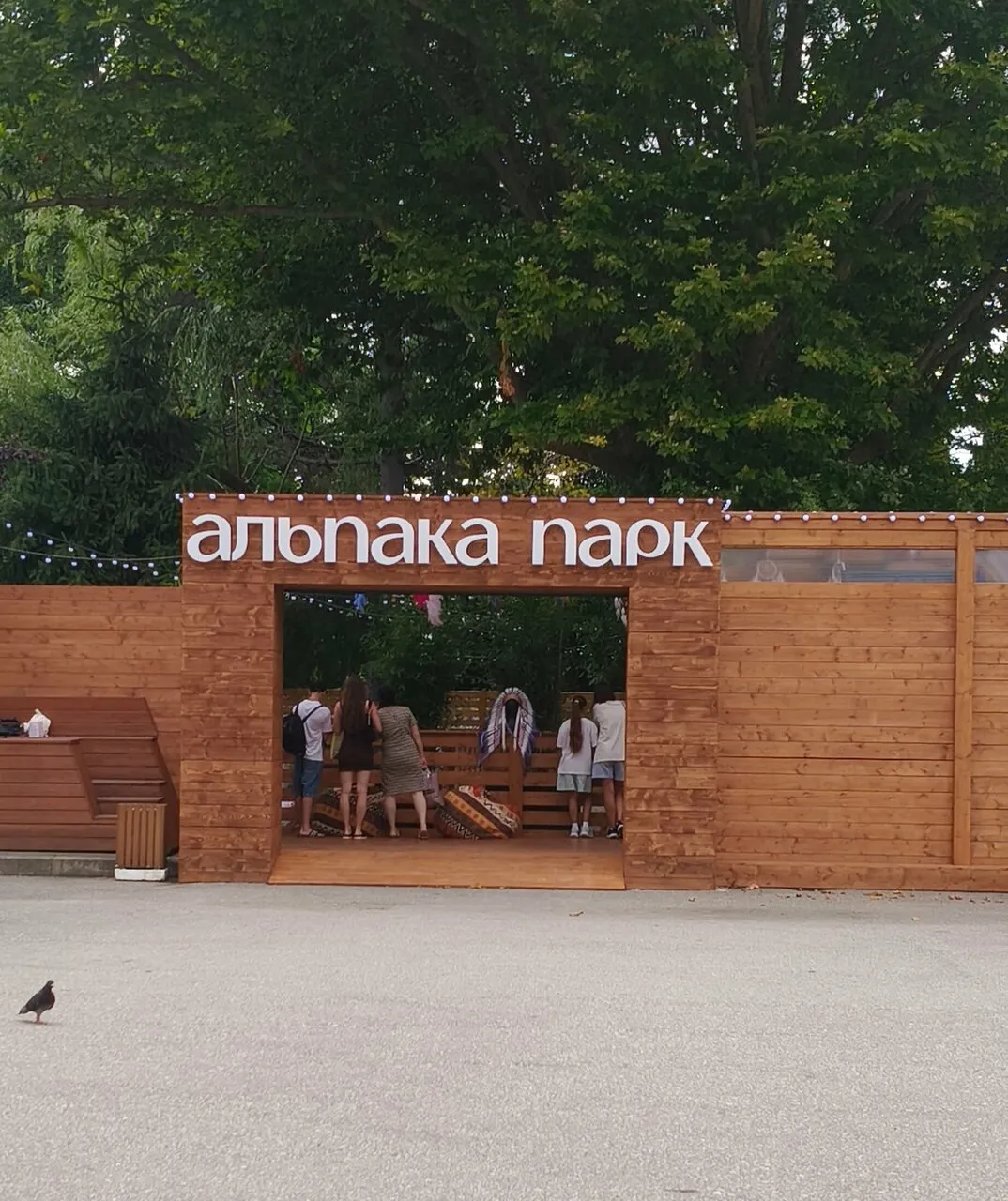 Деревянные ворота с вывеской «альпака парк»